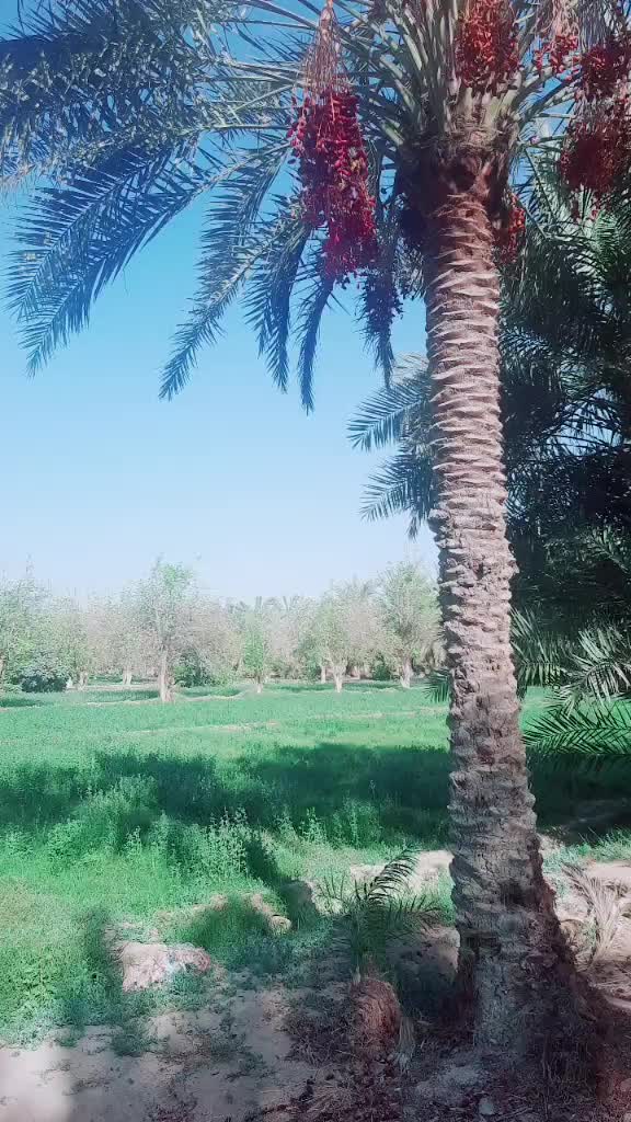 @Faizy Elappara