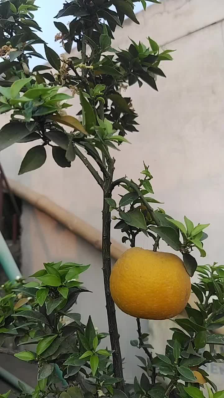 @user72391178949