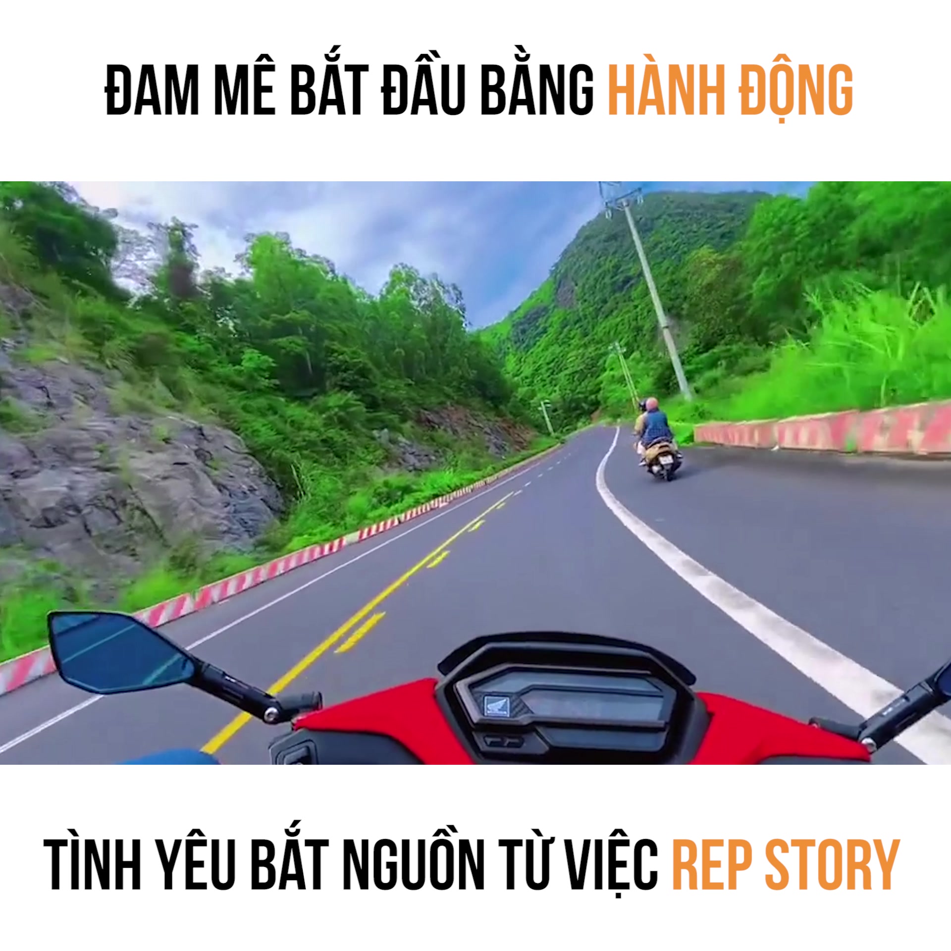 @Halo Vietnam