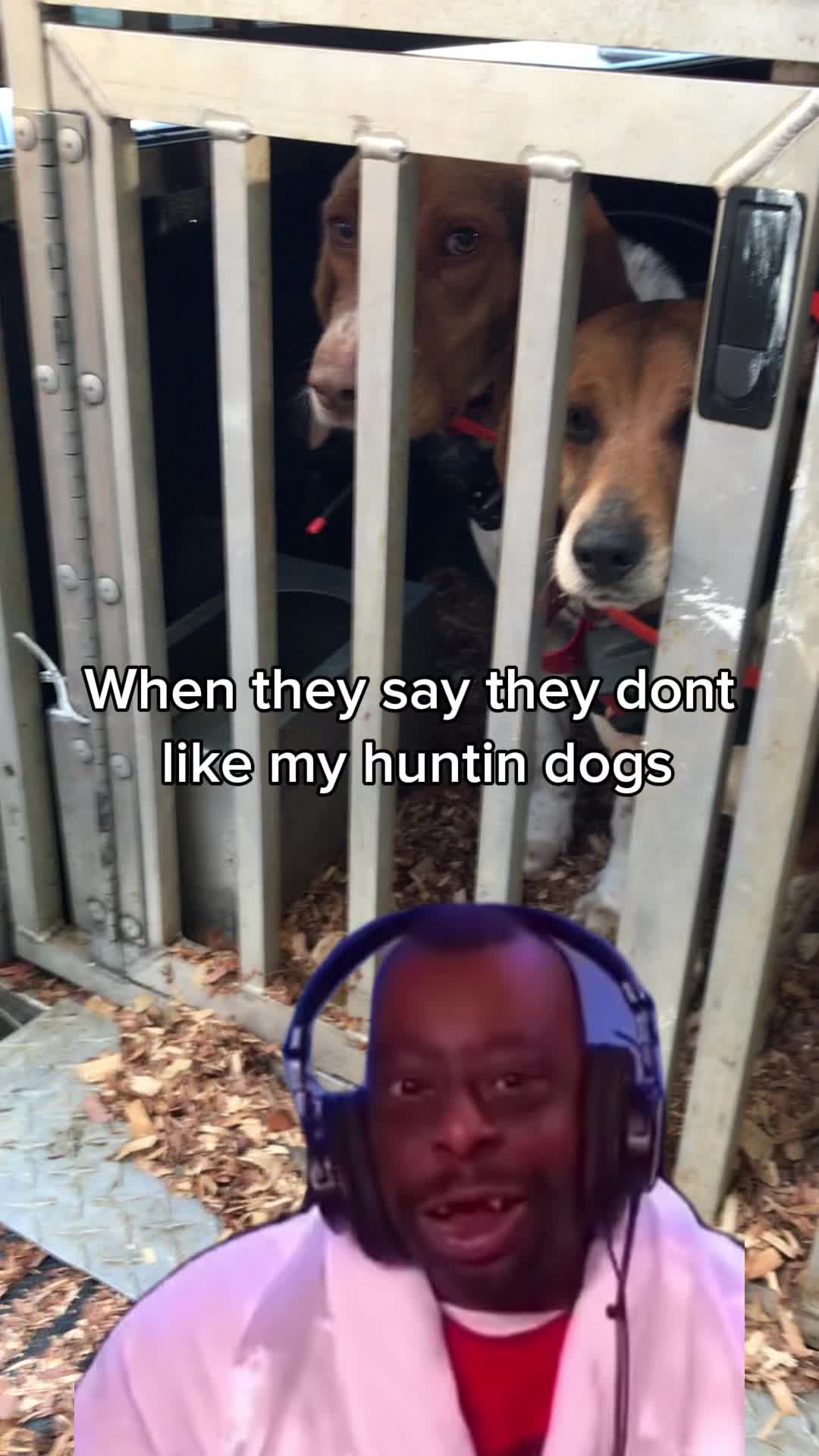 @Under the fence kennels