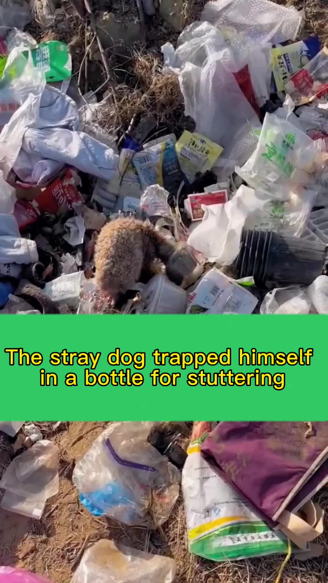 @eva