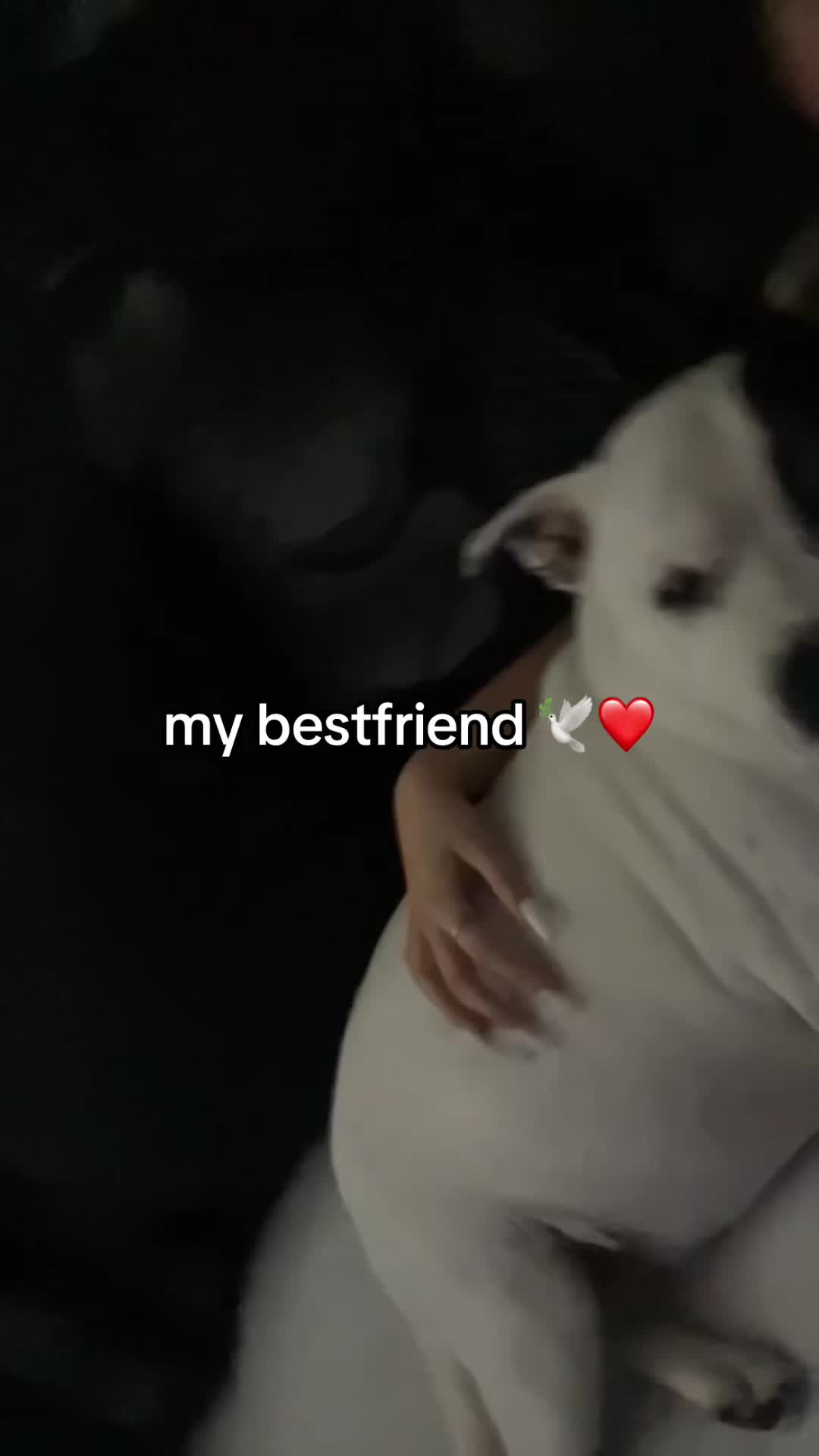 @lex