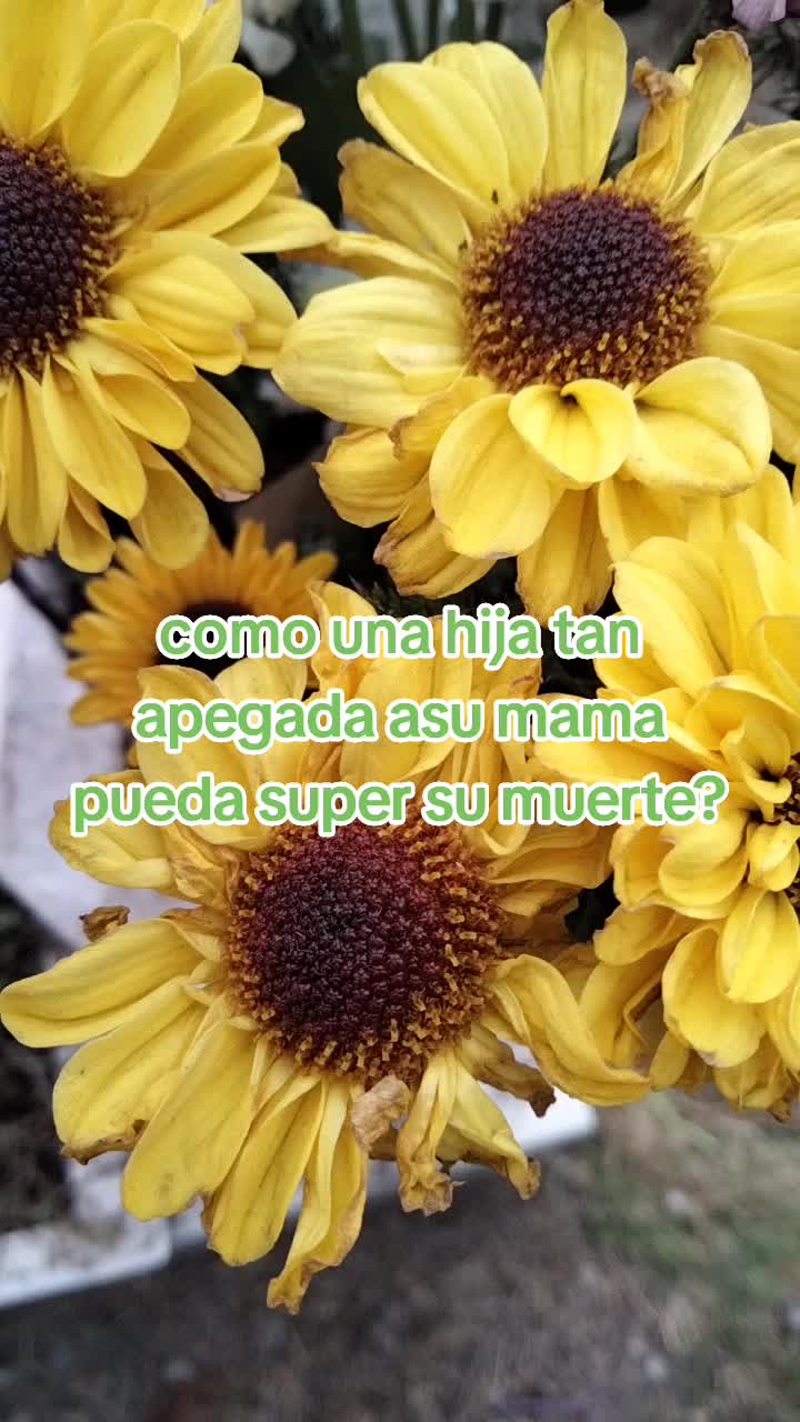 @Arc_avo