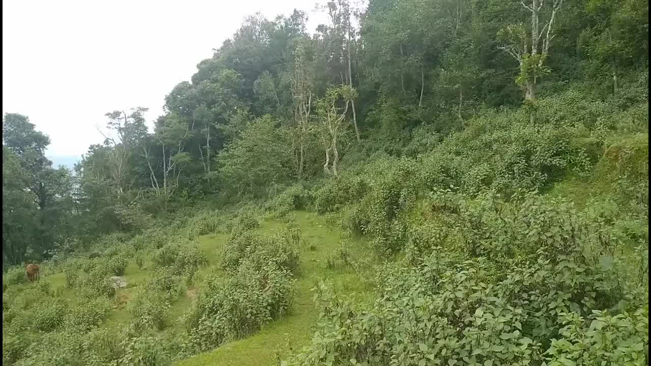@prakash devkota