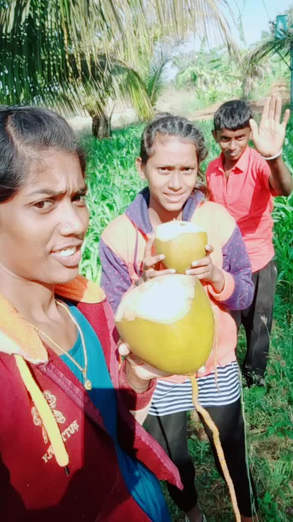 @ರೋಸ್ಮೇರಿ ಎನ್ ಎಸ್ 🌹