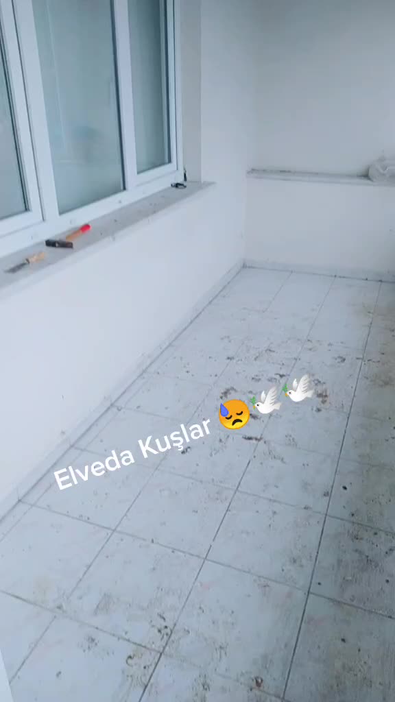 @Konyalı