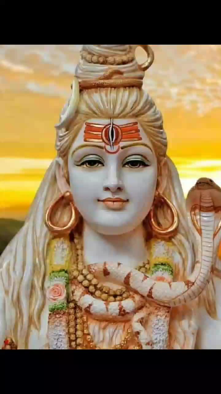 @shriya Tiwari