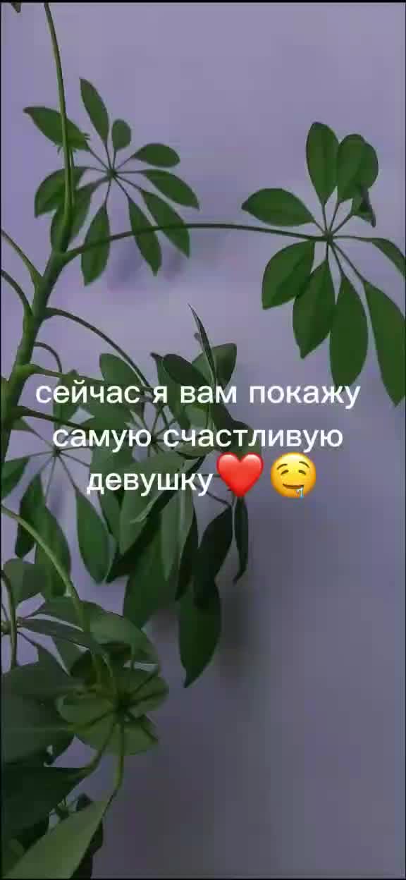 @_tns.max_