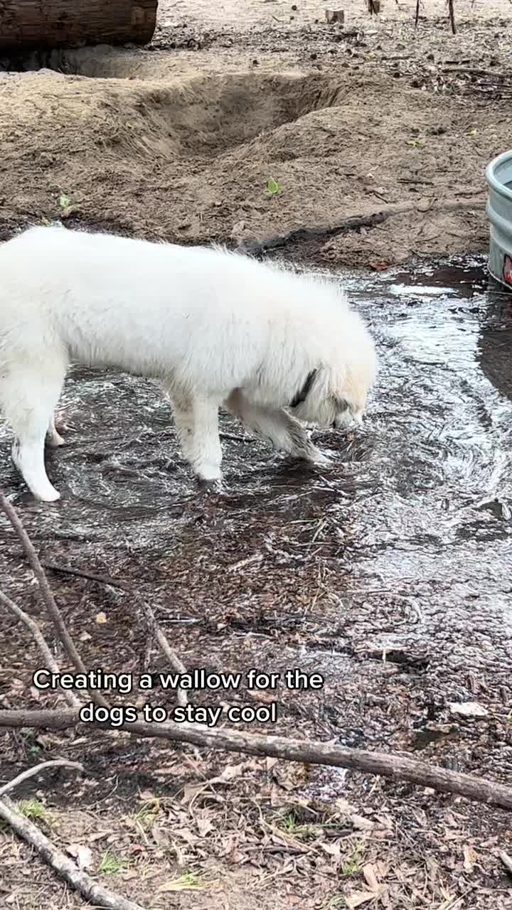 @Total_Farm