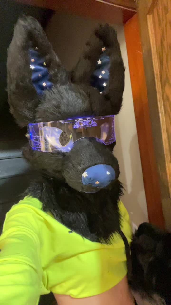 @Wolfvenstar Studio
