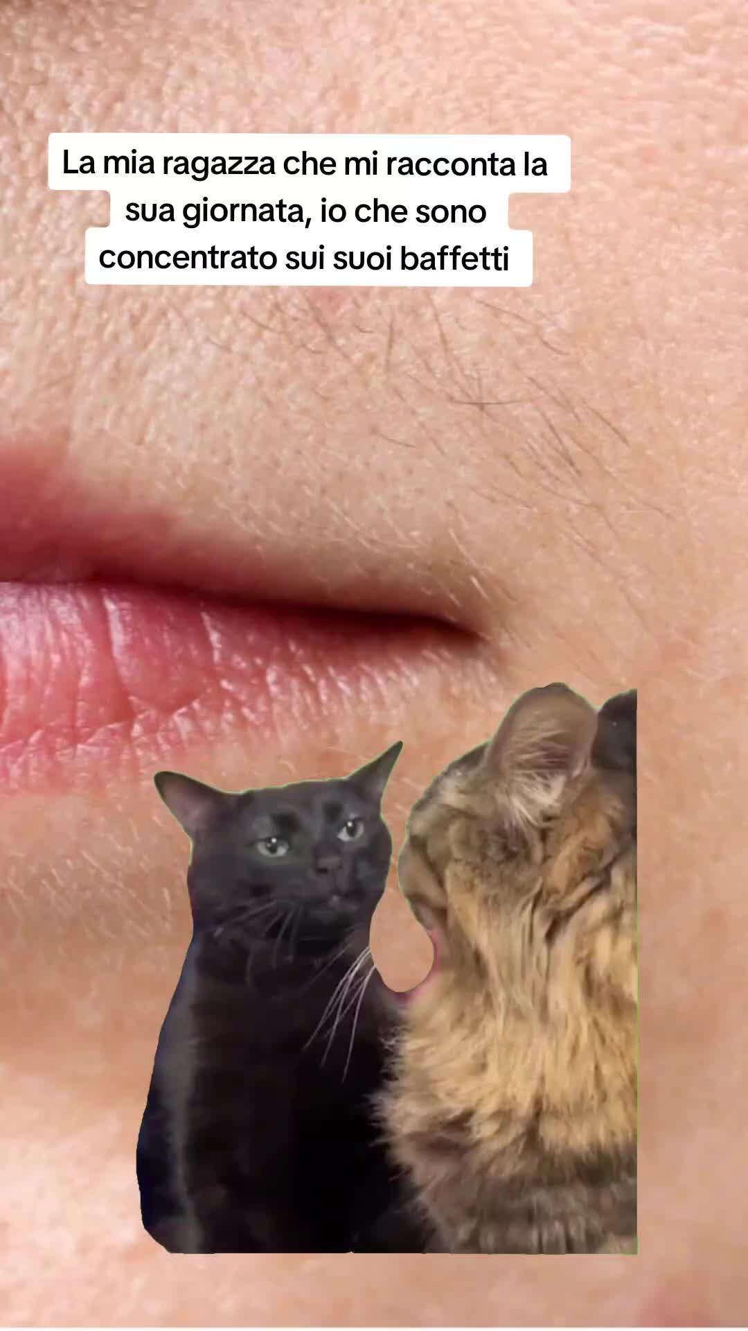 @Catzatte