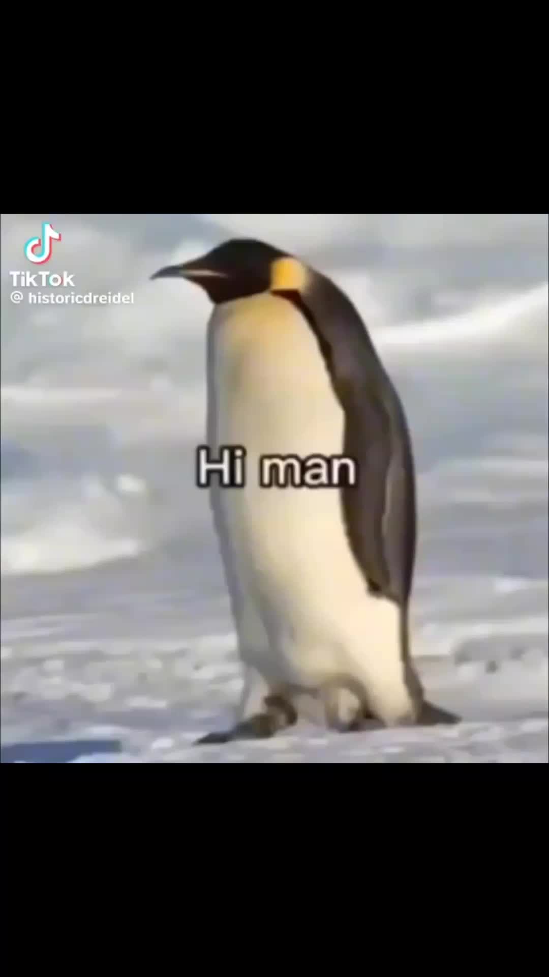 @electricianul_ Andrei