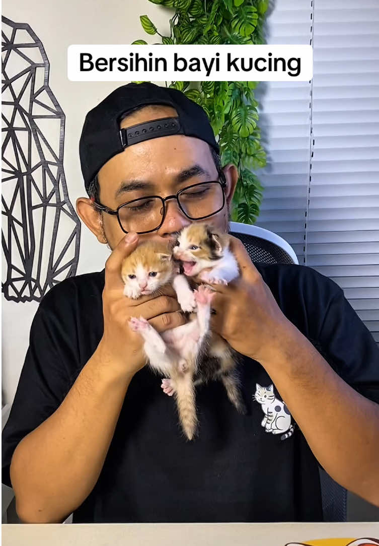 @KUCINGMASS