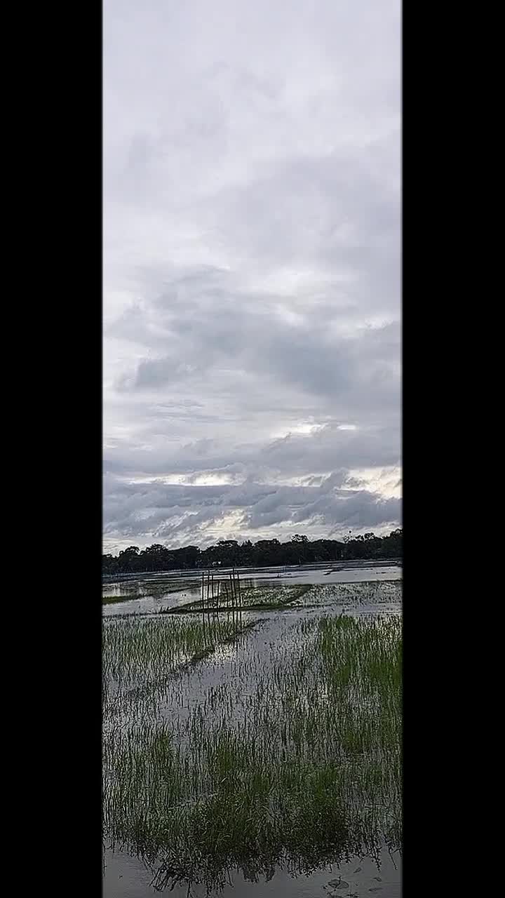 @মোবারক হোসেন