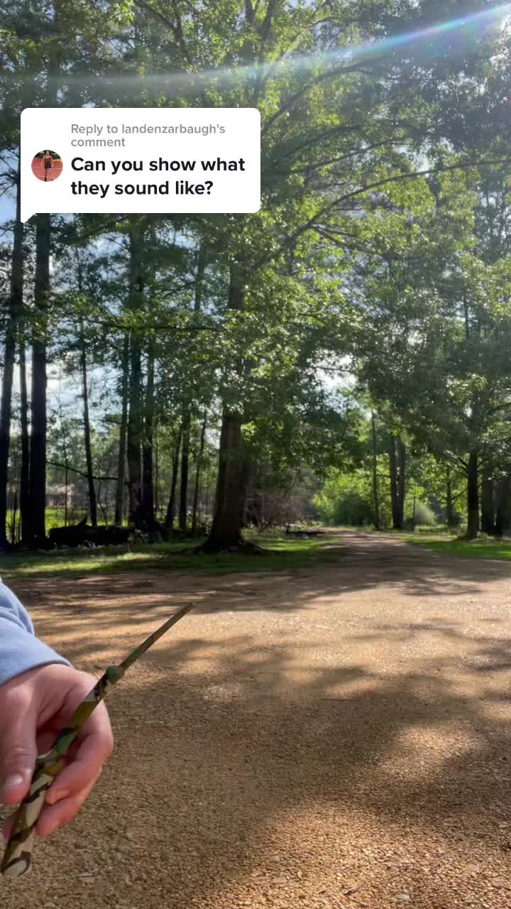 @sginn10
