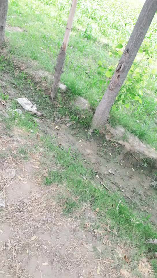 @Adil Khan
