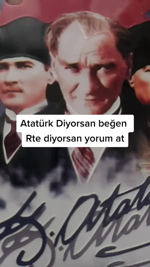 @Sarı bir kedi