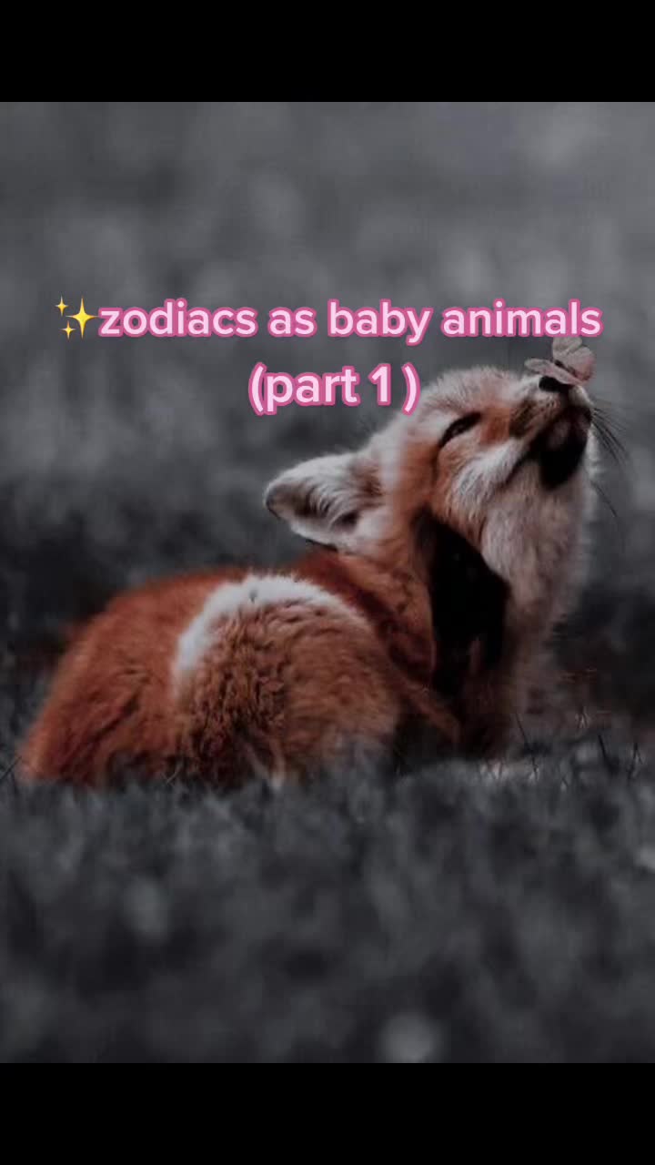 @daily zodiacs ✨🤍