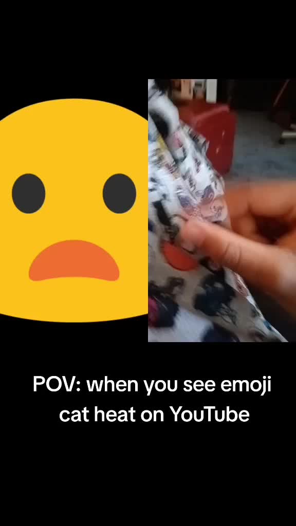 @Patrick Amara the Emoji Cat