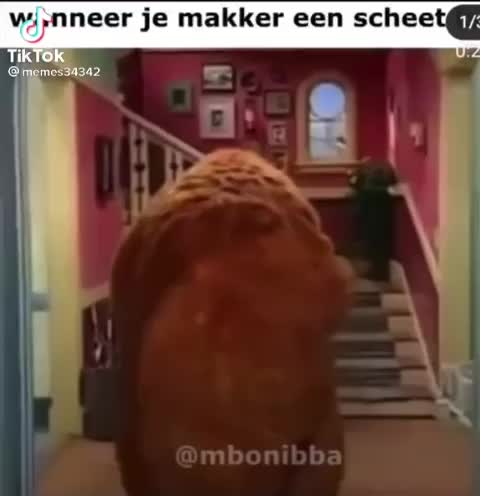 @OneWheelLucas