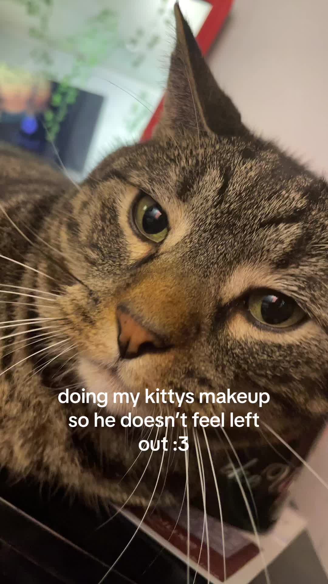 @taija