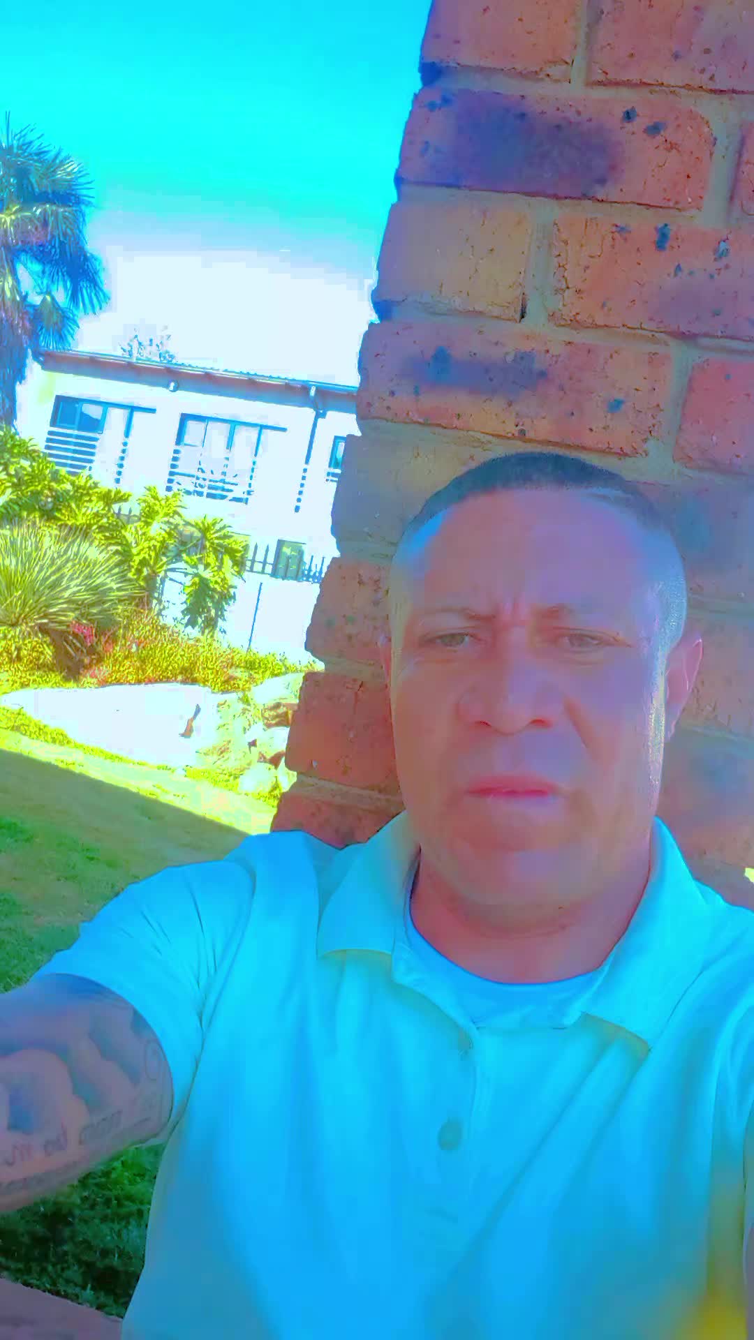 @DinoBravo007