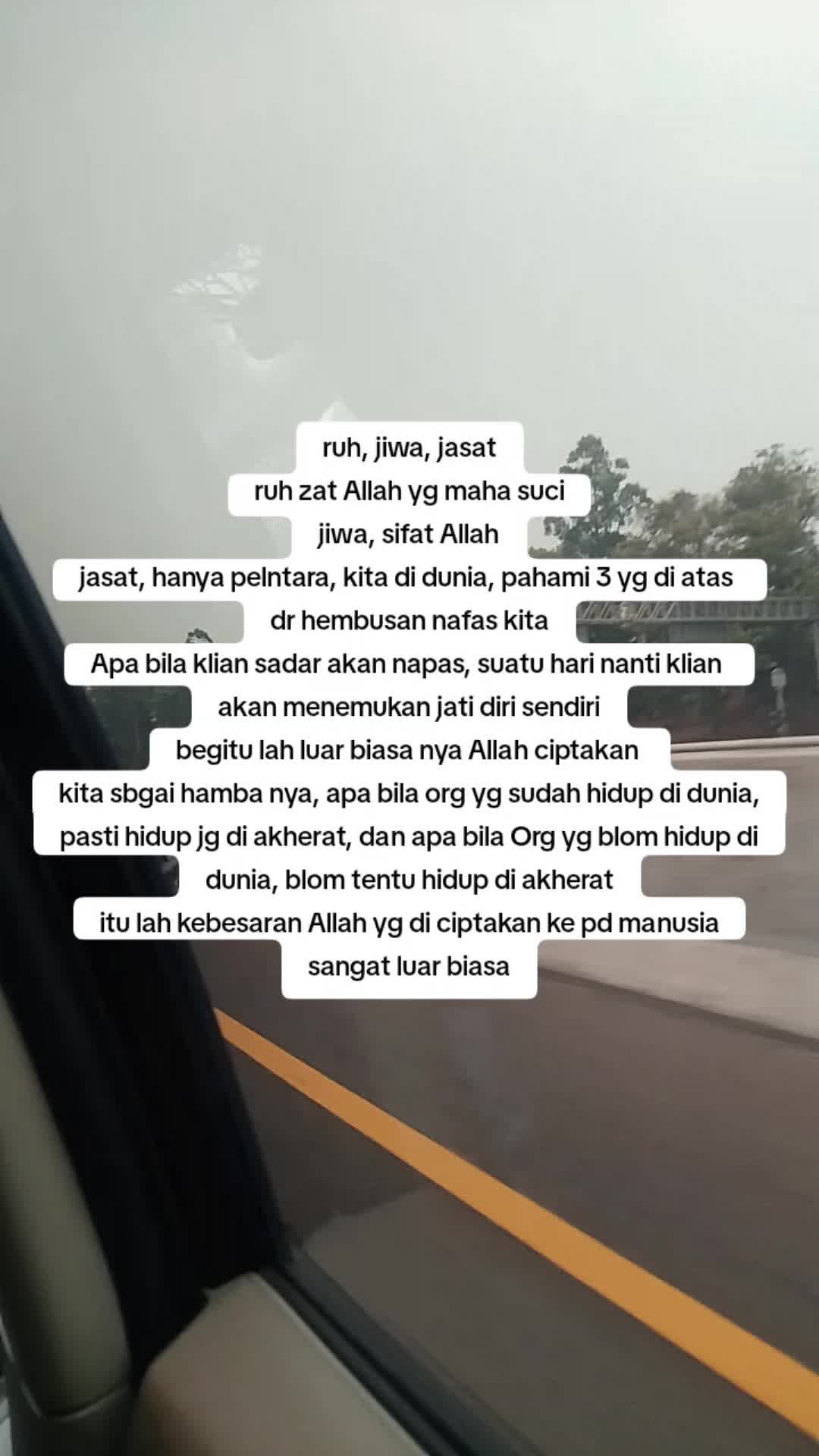@dachlia21 โ๐ง