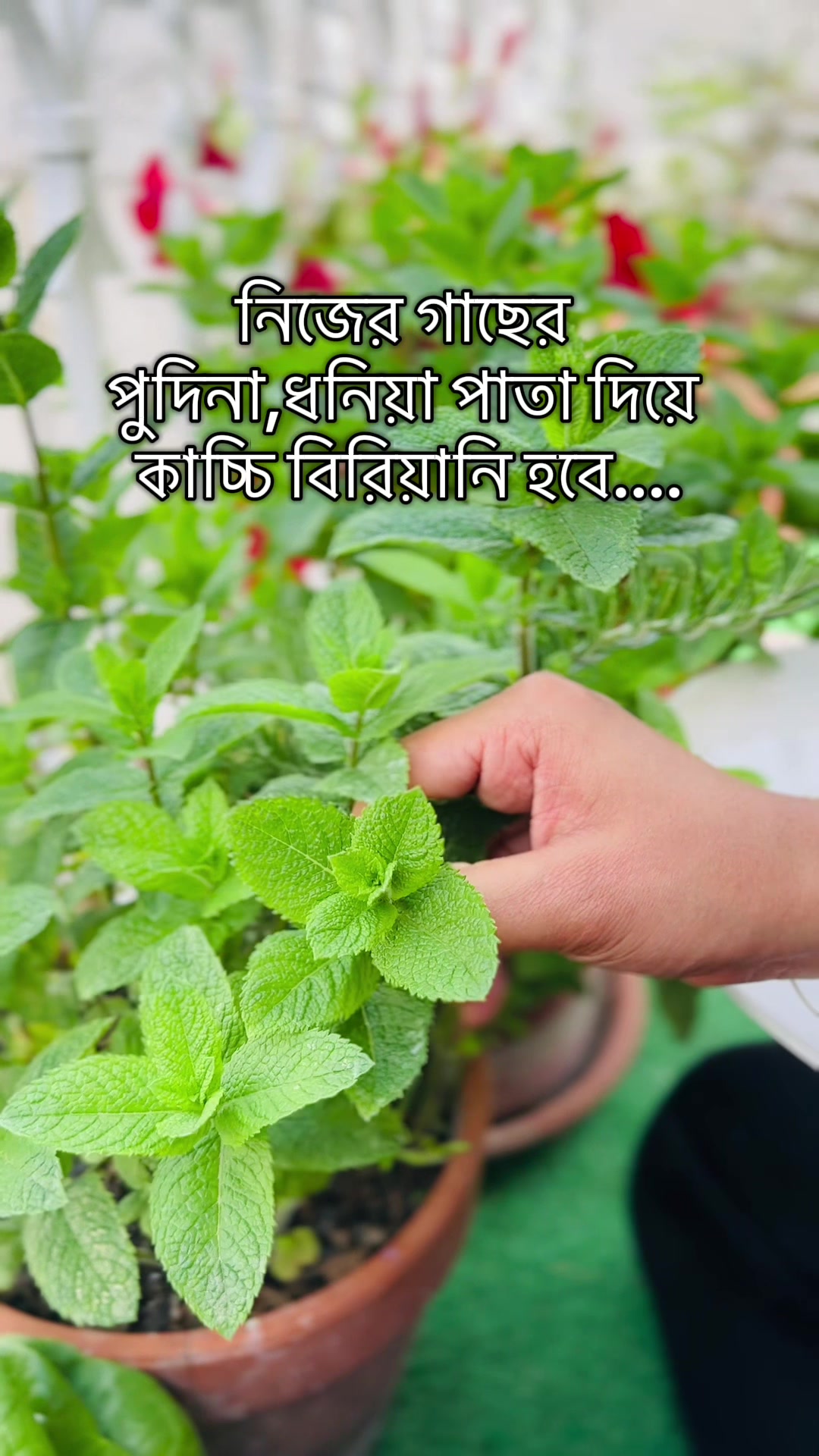 @🇧🇩Mehra Mishrat👸🥀🇮🇹