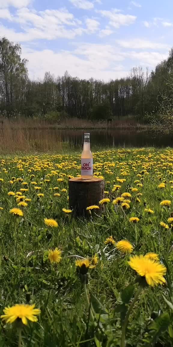 @On Lemon Latvia