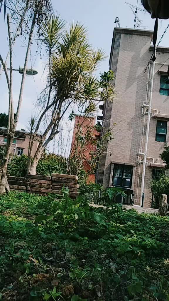@user3768462665177