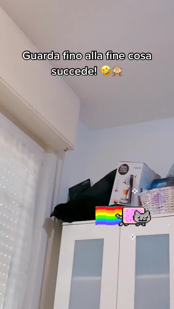 @Isdv.official