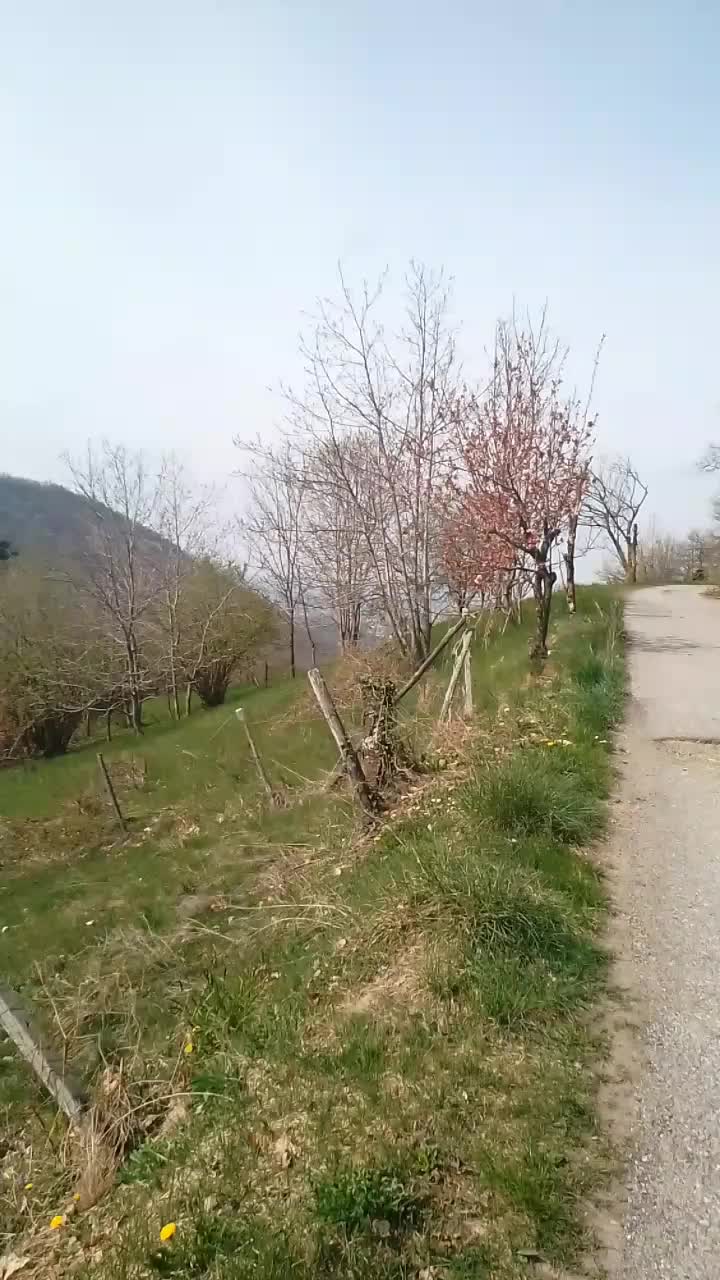 @Tariq Aziz