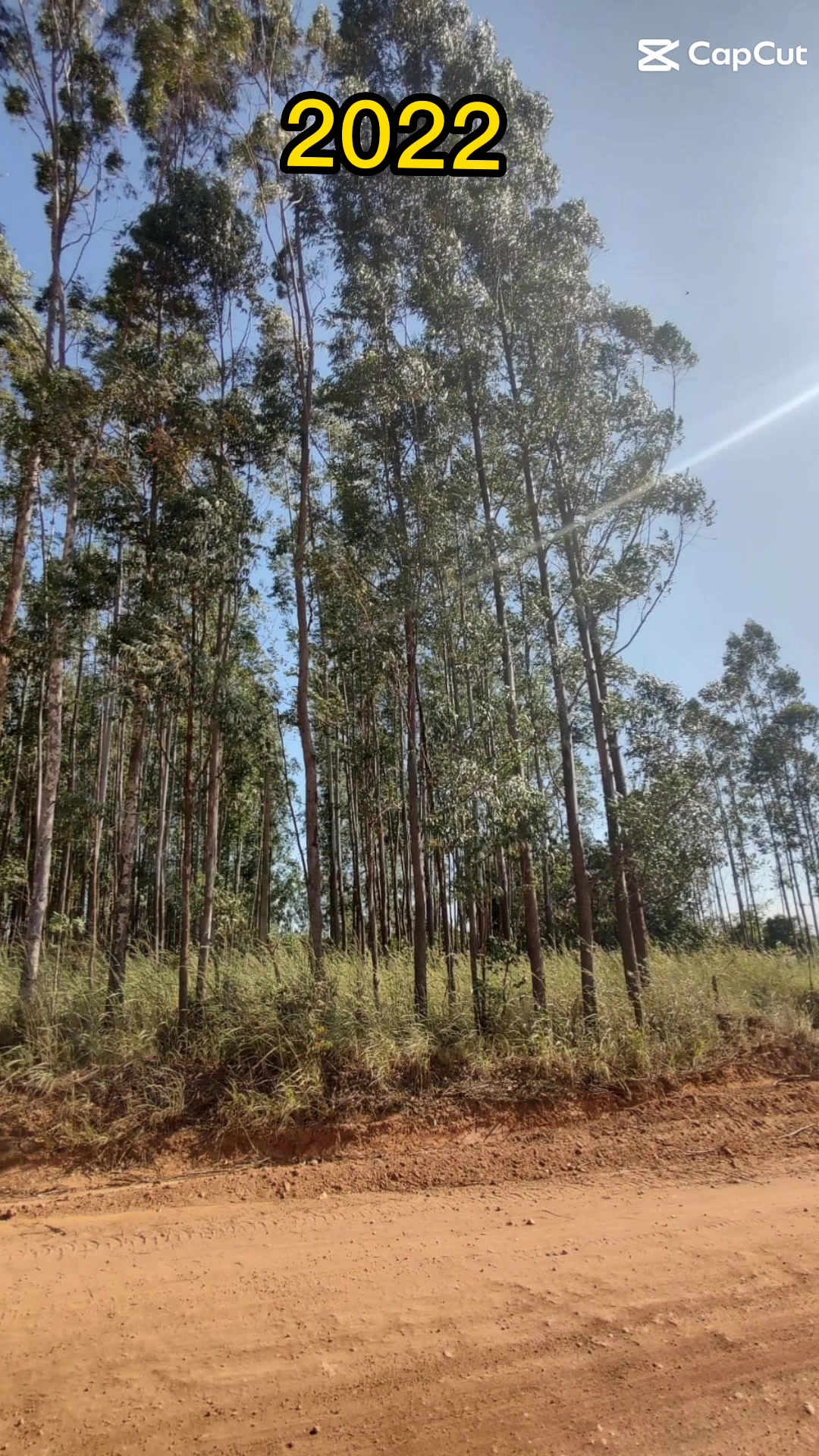 @Pé na Estrada