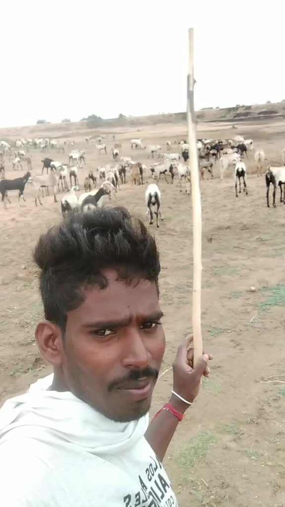 @raju