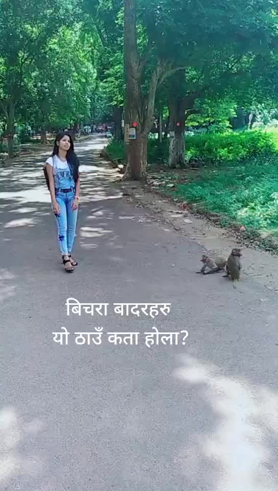 @Puspa Bhatta