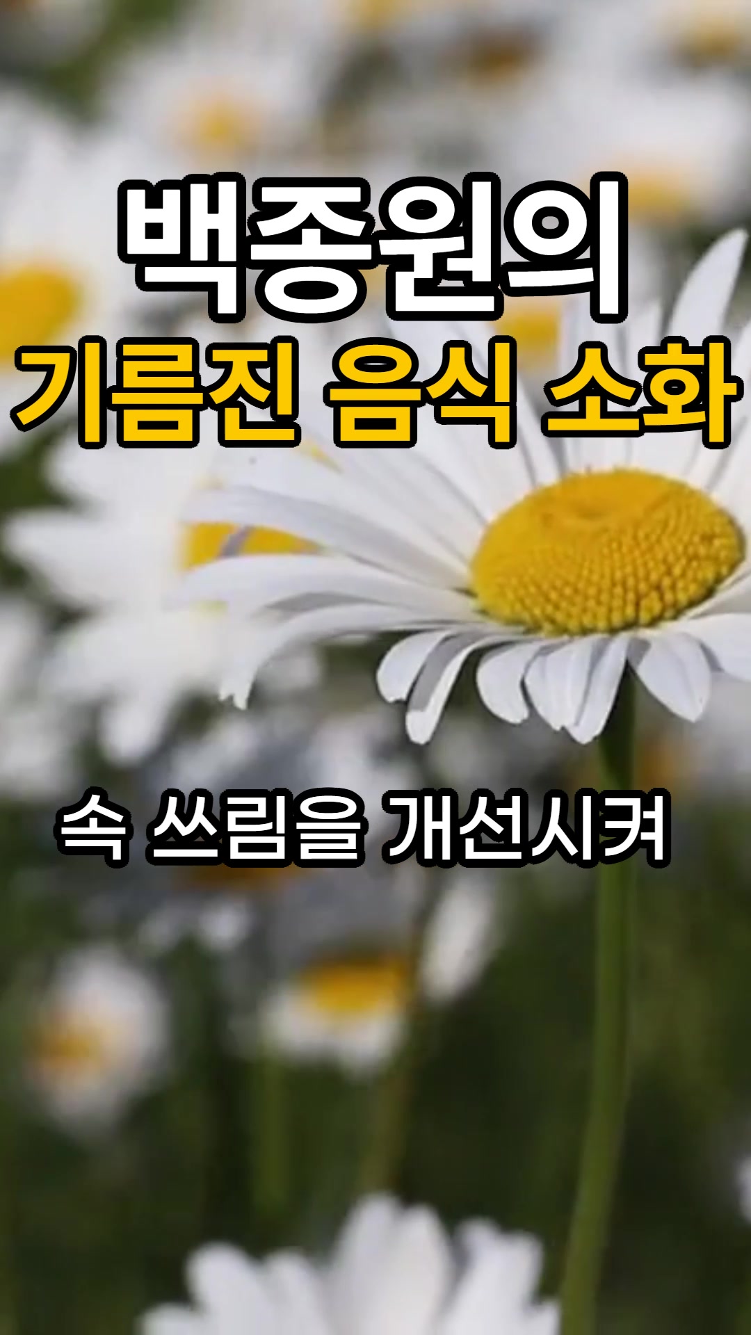 @건강한 산책