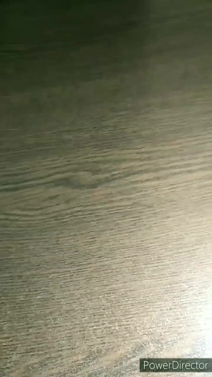@user10484456631