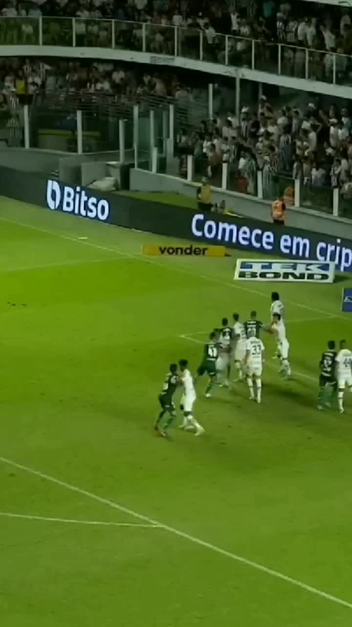 @Palmeirante&trade;