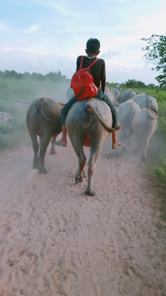 @ប្រុស ខ្មៅ