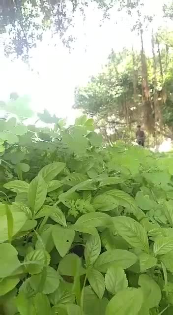 @ಕಿಚ್ಚ
