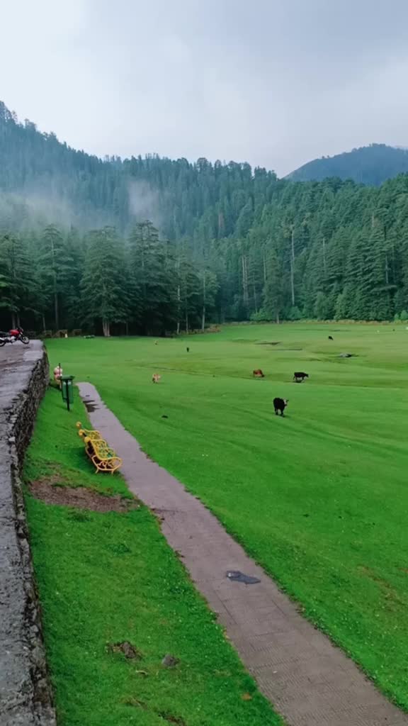 @Pammu Sharma