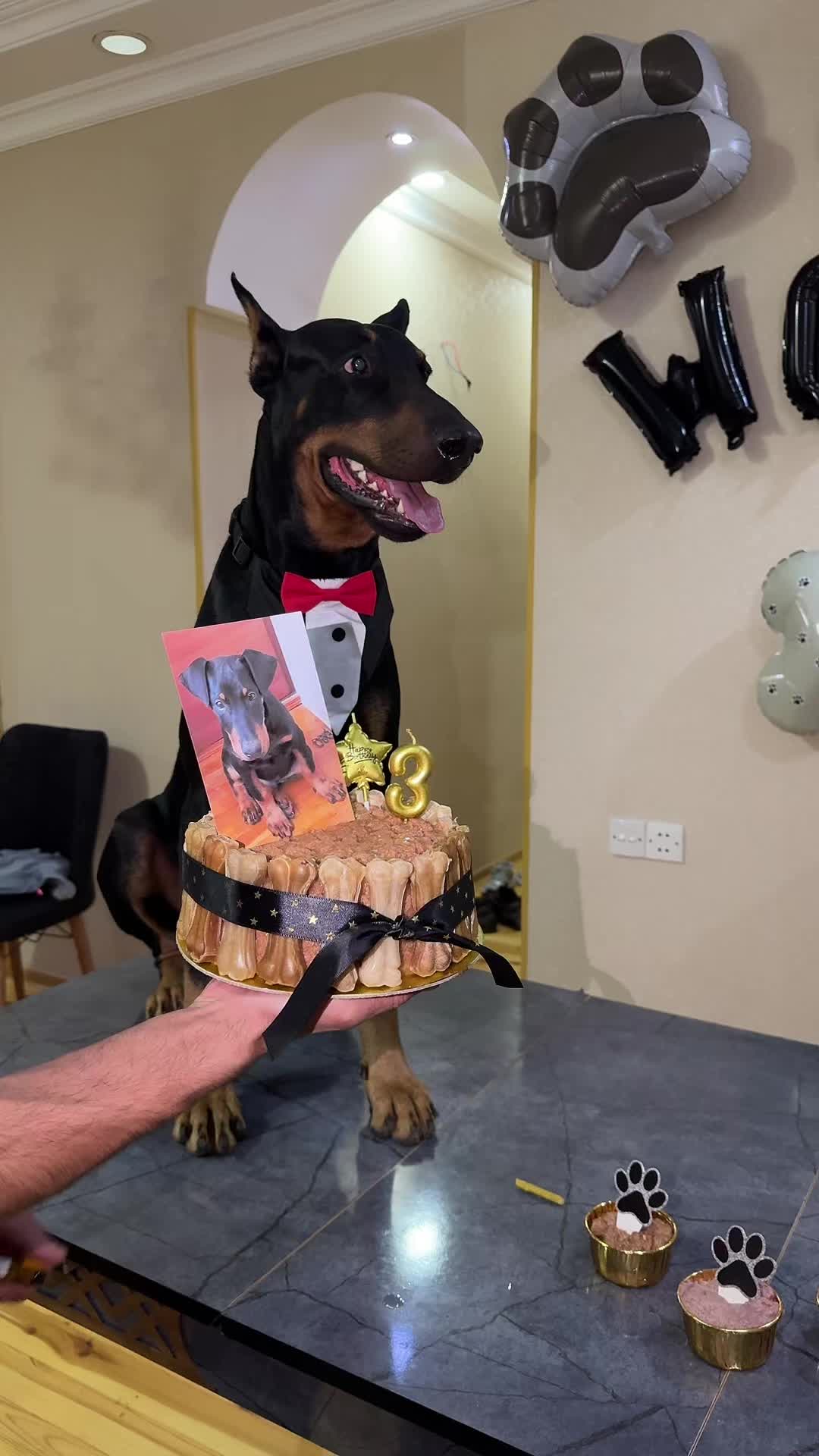 @dobi.baron