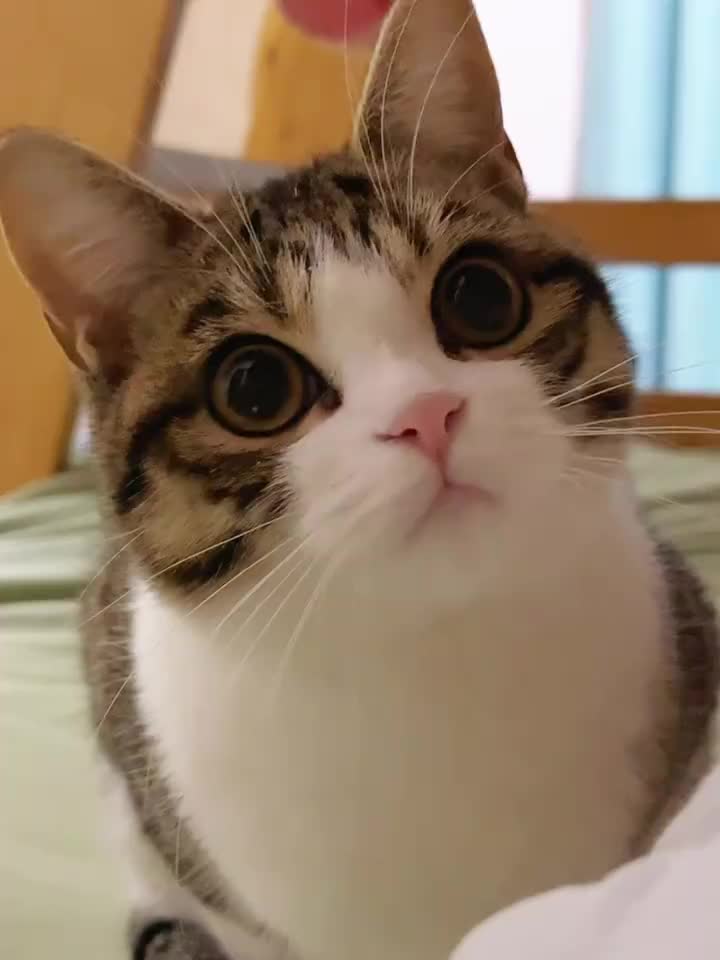 @Lin
