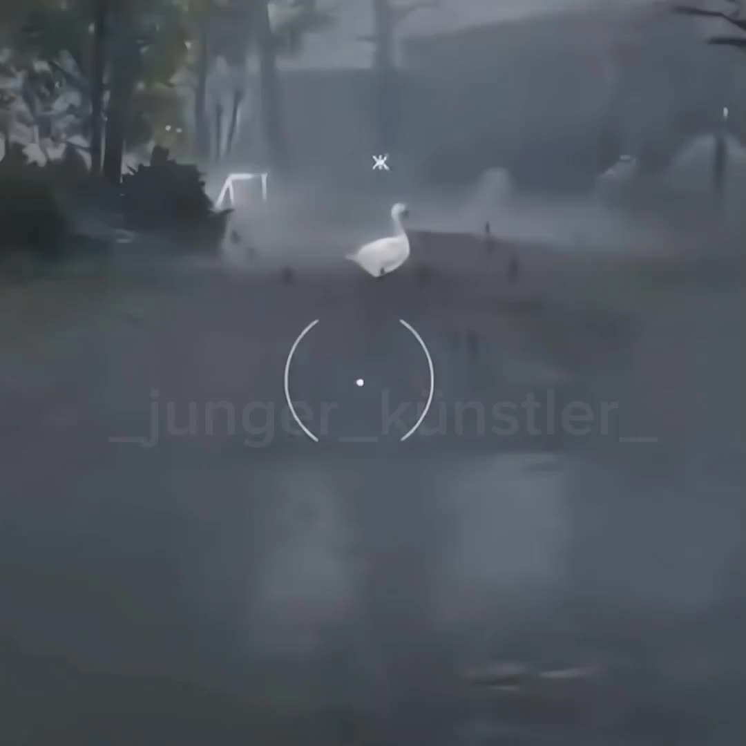 @_junger_k&uuml;nstler_