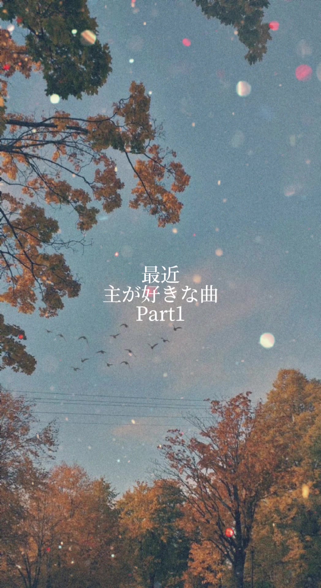 @もーりー。