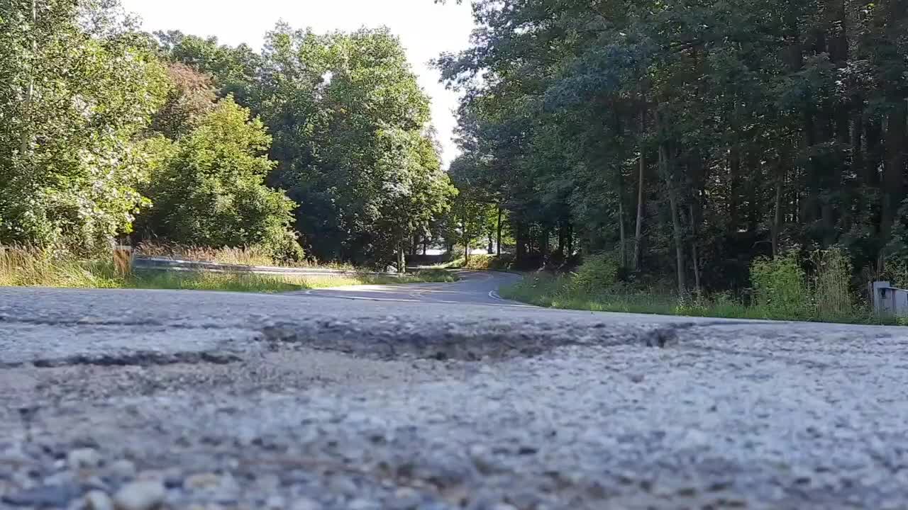 @musTURDstang