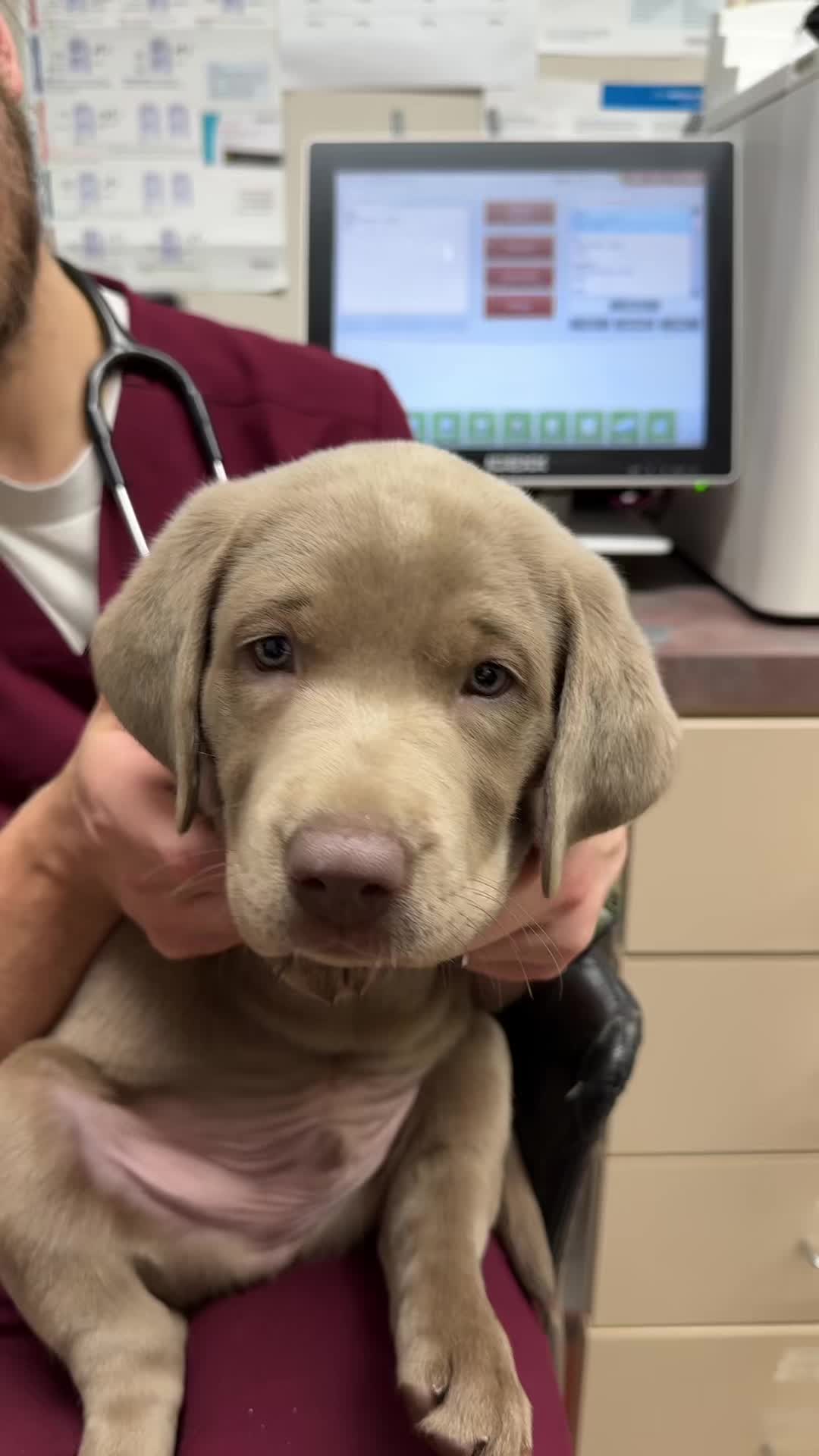 @Scott County Vet Clinic