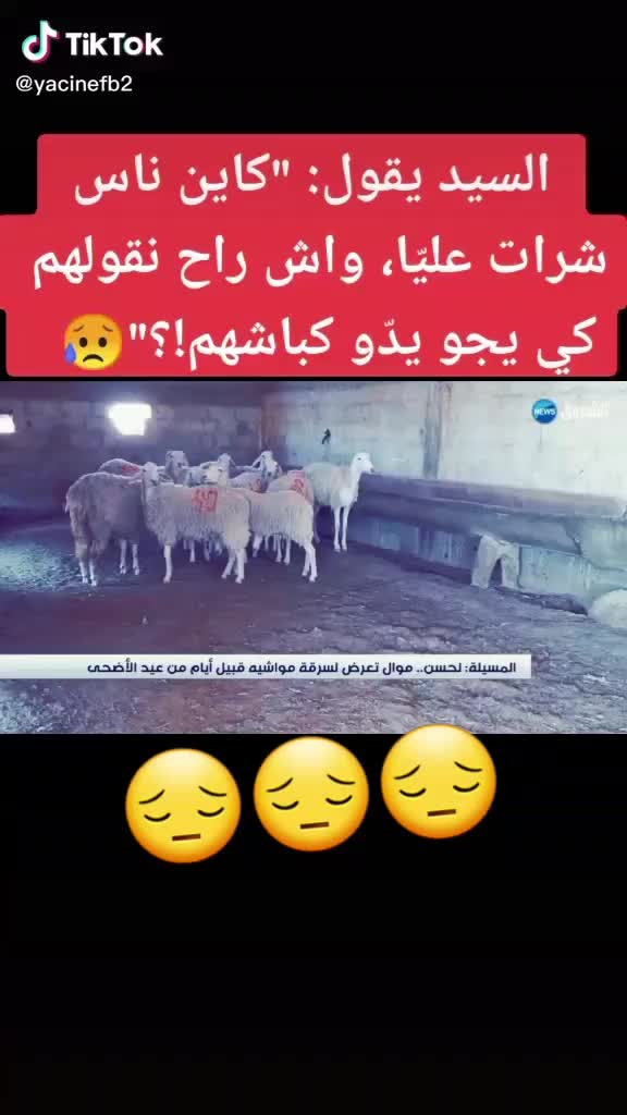 @Ayoub Rahma