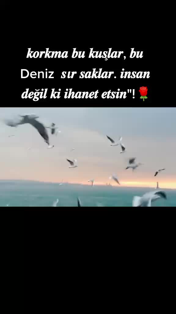 @anlamlı sözler
