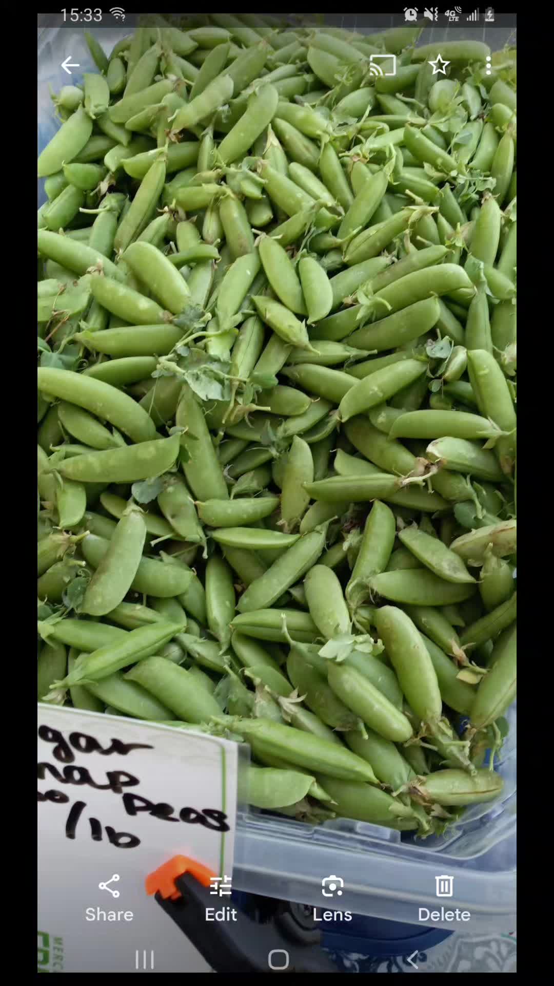 @guzmanproduce